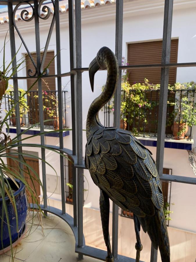 Apartament Club Costa Nerja Zewnętrze zdjęcie